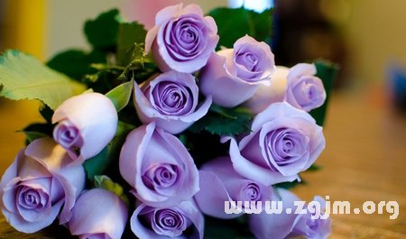 紫玫瑰的花语