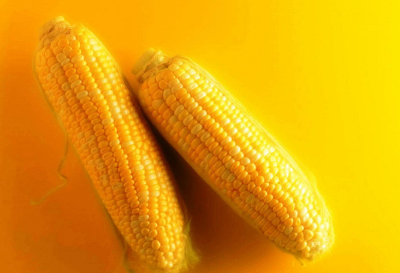 金黄的玉米