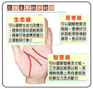三种主要的手纹线