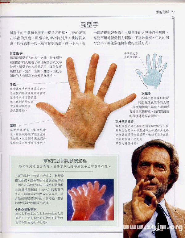 《手相学习百科》：手的形状