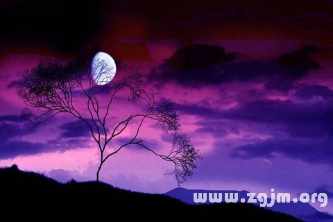 月亮挂在树梢