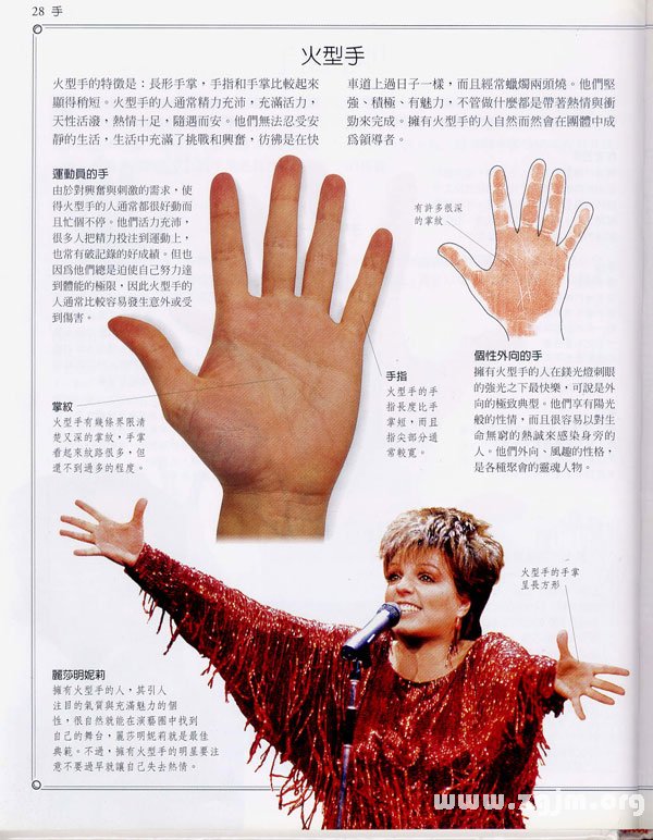 《手相学习百科》：手的形状